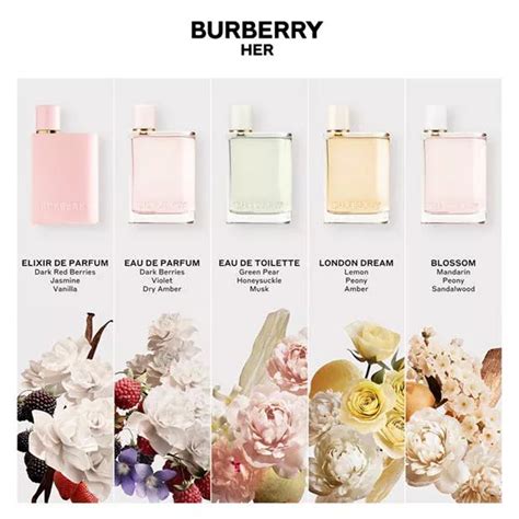 burberry nautilus|Burberry her fragrance.